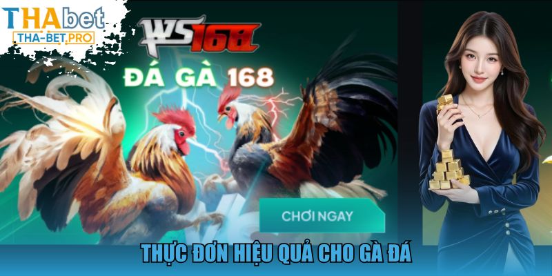 Thực đơn hiệu quả cho gà đá